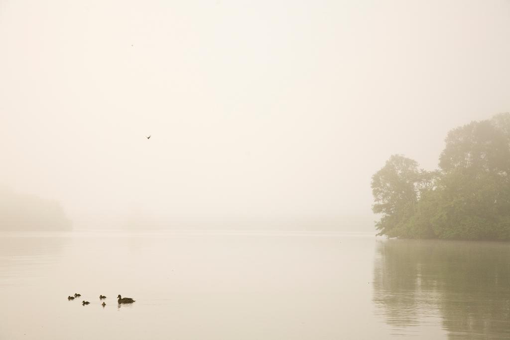 Lookout Point Lakeside Inn Хот Спрингс Екстериор снимка